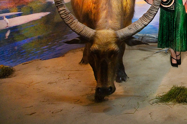 Tienda Vintage Madrid: trajes de boda, vestidos de fiesta, trajes vintage, kimonos, trajes de pel&iacute;cula, vestidos de Hollywood, sombreros, zapatos, Marc Jacobs, Armani, Prada, John Galliano, Moschino, Etro, Hungaro, Calvin Klein, Dolce y Gabbana, Christian Lacroix, Gucci, Dior &iexcl;Viva el vintage!